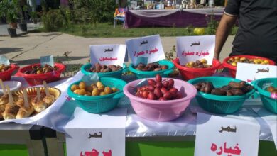 IMG ٢٠٢٣١١٠٩ ١٣٥٠٤٧