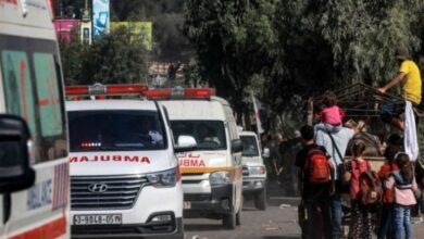 Screenshot ٢٠٢٣١١١٠ ٢٣٢٦٥٧ Chrome