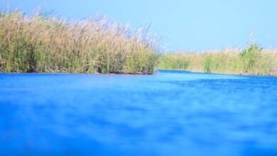 Screenshot ٢٠٢٣١١١٢ ٢٢١٢٥٤ Chrome