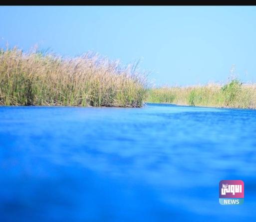 النجف الأشرف تزيد حصص المياه إيذاناً ببدء موسم زراعة الحنطة 1 Screenshot ٢٠٢٣١١١٢ ٢٢١٢٥٤ Chrome