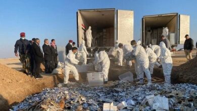 upload 1698830662 890320068 edit 2496746325049200