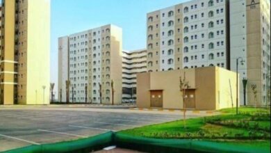 upload 1698832588 952378552 edit 2498065981413279