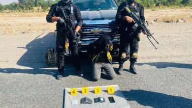 upload 1699351603 788121440 edit 2748983700593542