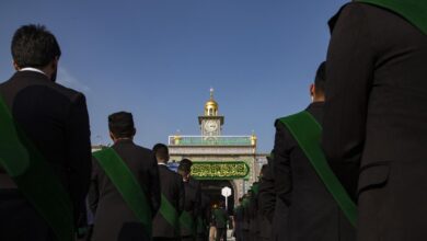 upload 1700227419 325231197 edit 65833086175461