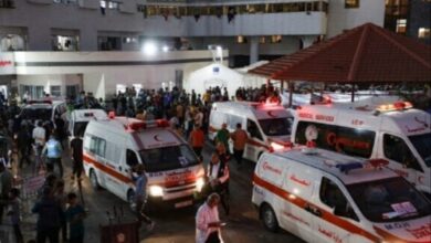 upload 1700302037 972083024 edit 102211704583783