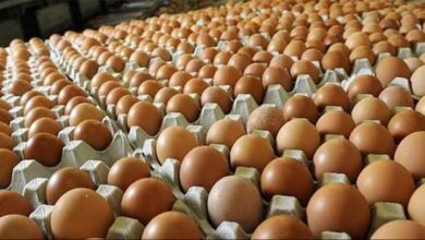 1603798170356 edit 1672067517899585