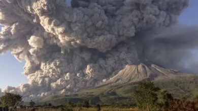 Screenshot 2023 12 04 10 16 52 92 40deb401b9ffe8e1df2f1cc5ba480b12