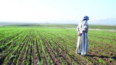 Screenshot 2023 12 10 10 07 46 85 40deb401b9ffe8e1df2f1cc5ba480b12