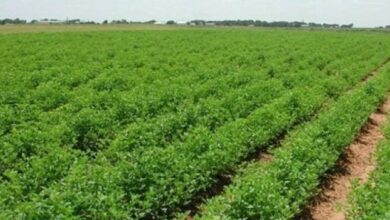 Screenshot ٢٠٢٣١٢١٧ ٢١٢٢٣٥ Chrome