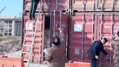 upload 1702635125 1911612183 edit 1368684396678578