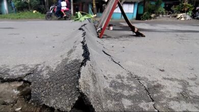 upload 1703148217 1061859976 edit 1661295048065789