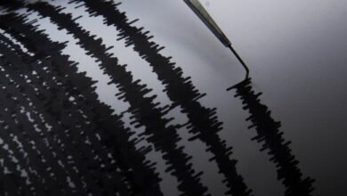 زلزال بقوة 7.1 درجات يضرب الصين 4 Screenshot 2024 01 23 10 07 16 64 40deb401b9ffe8e1df2f1cc5ba480b12