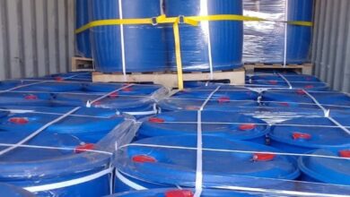 upload 1704192159 745781812 edit 176647225576220