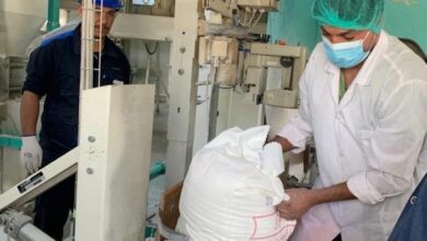 upload 1705574774 1037569628 edit 920788011221266