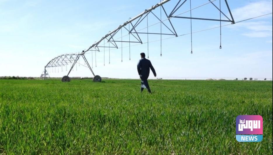 الزراعة تعلن تفاصيل خطتها للموسم الحالي واعتمادها على منظومات الري الحديثة 1 upload 1705927885 1400703065 edit 1125344441108151