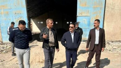 upload 1706356350 1130563919 edit 169455602848022