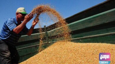 5b32560addf23 768x512 1