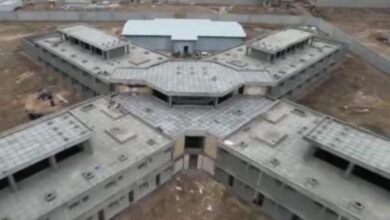 upload 1706952915 556581613 edit 48354257619882