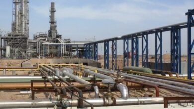 upload 1707756435 217227241 edit 366242189693829