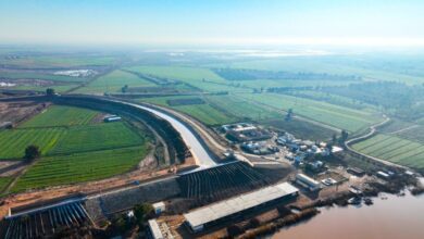 upload 1708689496 1922857991 edit 33169476174130