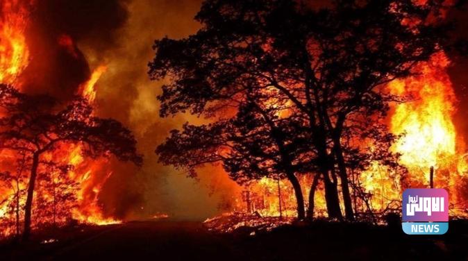 توقيف 12 شخصاً في فنزويلا على خلفية حرائق غابات 1 Screenshot 2024 03 30 08 12 37 05 40deb401b9ffe8e1df2f1cc5ba480b12