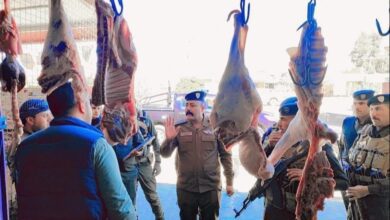 الأنبار تتخذ ثلاثة إجراءات للسيطرة على أسعار اللحوم وتحذر المخالفين 3 upload 1709801293 1160260300 edit 499313192675221