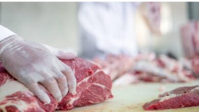 upload 1709813904 1813491349 edit 498154686930614