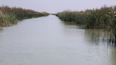 upload 1709965996 1439900134 edit 575550959713688