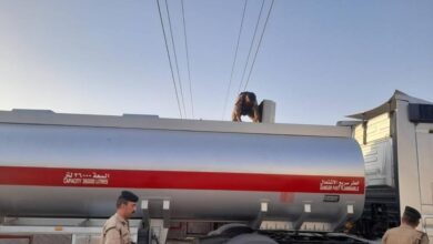 upload 1710071152 204129042 edit 628179746379979