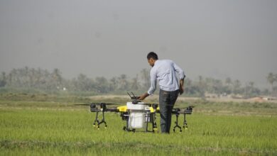 الزراعة: مشاريع للشباب في تصنيع العلاجات واللقاحات البيطرية والأدوية والمبيدات 21 upload 1710238350 1948944484 edit 704893947947090