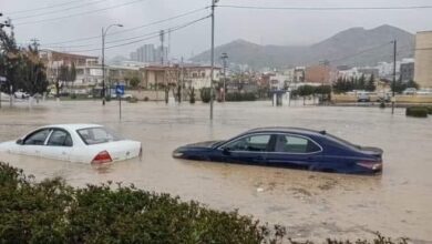 upload 1710841338 520025635 edit 938835130869494