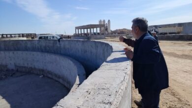 upload 1711019430 1045566588 edit 1022821062359731