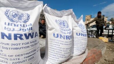 upload 1711105092 2029077287 edit 1060230600218115