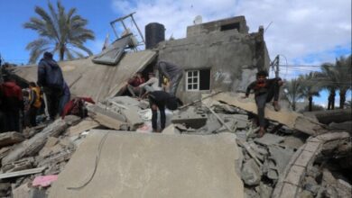 upload 1711180523 2060912009 edit 1081837947087787