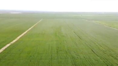 upload 1711616658 680705827 edit 1281350715092602