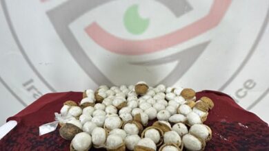 upload 1711704645 441612676 edit 1316200650782910