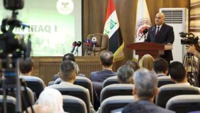 upload 1711967314 1446366611 edit 1440954825678346