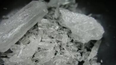 upload 1712471371 439156331 edit 1640408330281388