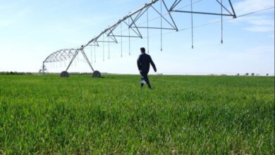 upload 1712489766 372352830 edit 1648171734018851