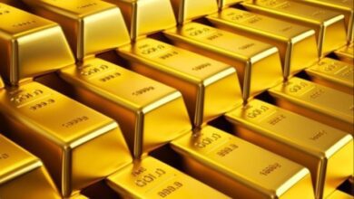 upload 1712748262 1848914098 edit 64917083381023