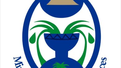 upload 1713377269 1087306861