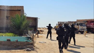 upload 1713953346 1484973042 edit 625166335976799