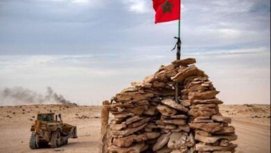 upload 1714194457 754745466 edit 78976073734399