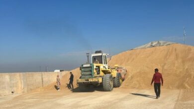 الزراعة: نقلة نوعية في إنتاح محصول الحنطة وسنحقق فائضاً كبيراً 4 upload 1714219907 1488549818 edit 96121686708498