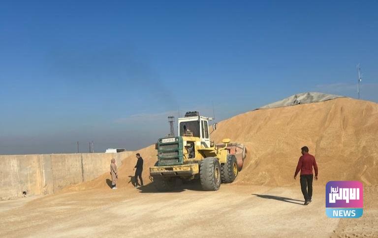 الزراعة: نقلة نوعية في إنتاح محصول الحنطة وسنحقق فائضاً كبيراً 1 upload 1714219907 1488549818 edit 96121686708498