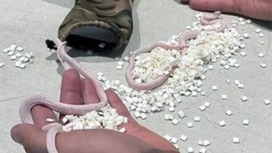 Screenshot 2024 05 05 08 49 01 85 40deb401b9ffe8e1df2f1cc5ba480b12