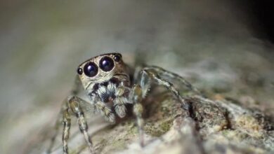 Screenshot 2024 05 05 10 00 54 11 40deb401b9ffe8e1df2f1cc5ba480b12