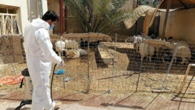 Screenshot 2024 05 14 11 27 46 17 40deb401b9ffe8e1df2f1cc5ba480b12