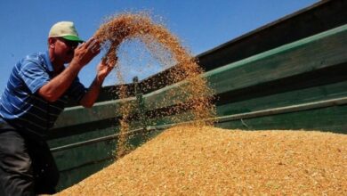 Screenshot 2024 05 17 13 51 24 75 40deb401b9ffe8e1df2f1cc5ba480b12