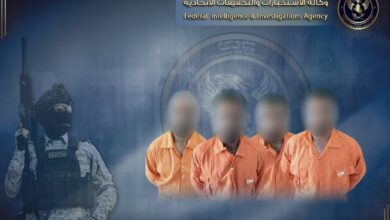 upload 1715168927 1291968865 edit 562156893905044